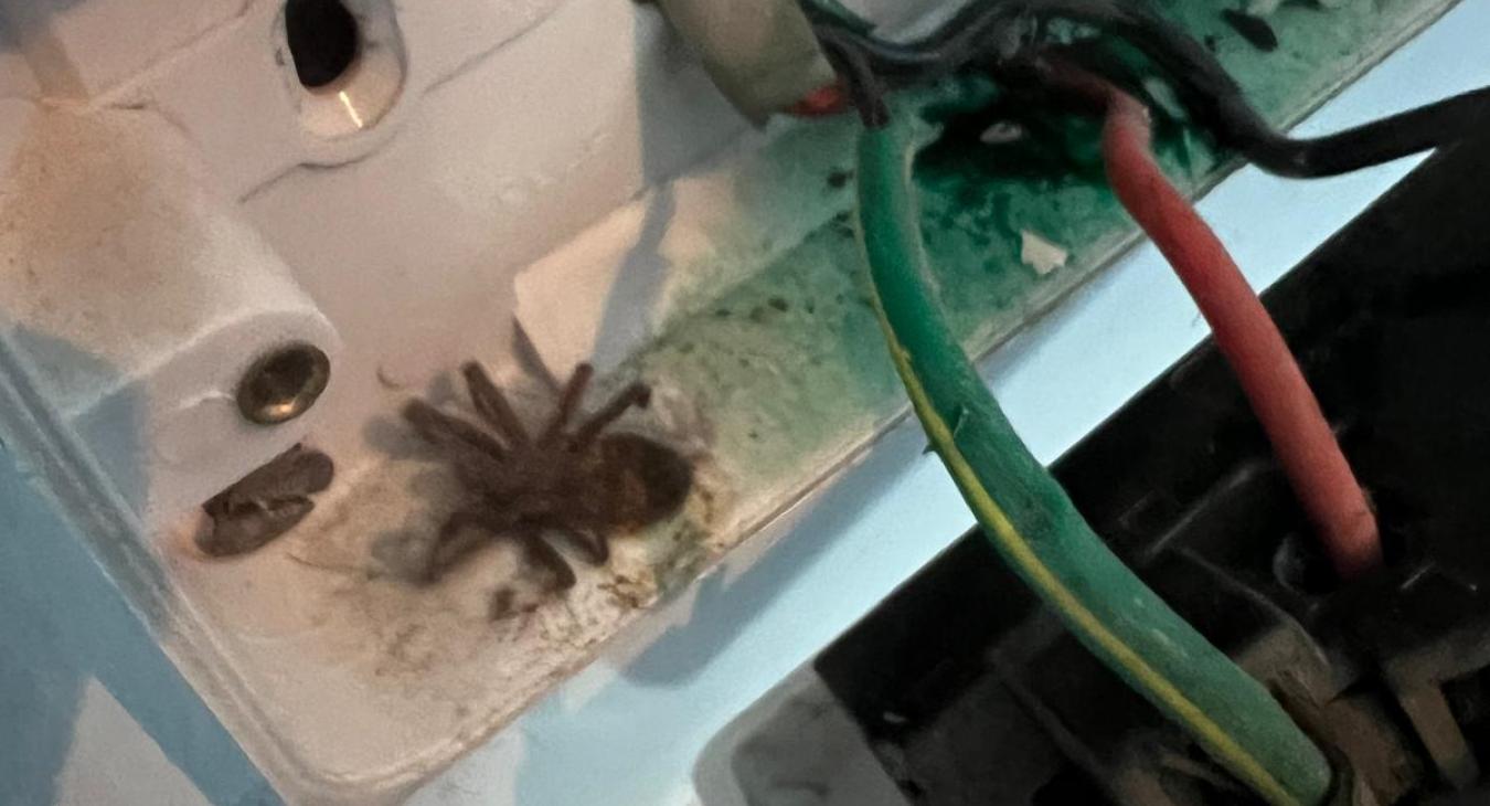 Fault finding and Repair in Corby by DNA Father and Son's Electrical